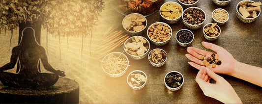 Ayurveda- The Science Of Life
