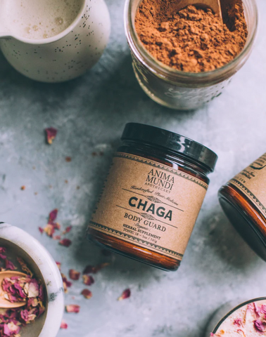 CHAGA | Body Guard