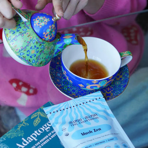 Mush Zen – Reishi, Chaga & Turkey Tail Superblend