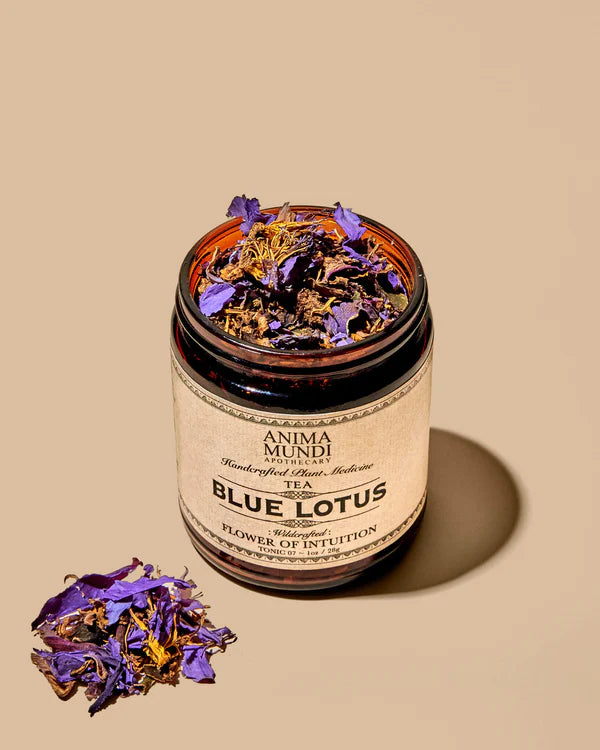 BLUE LOTUS : Flower of Intuition Tea