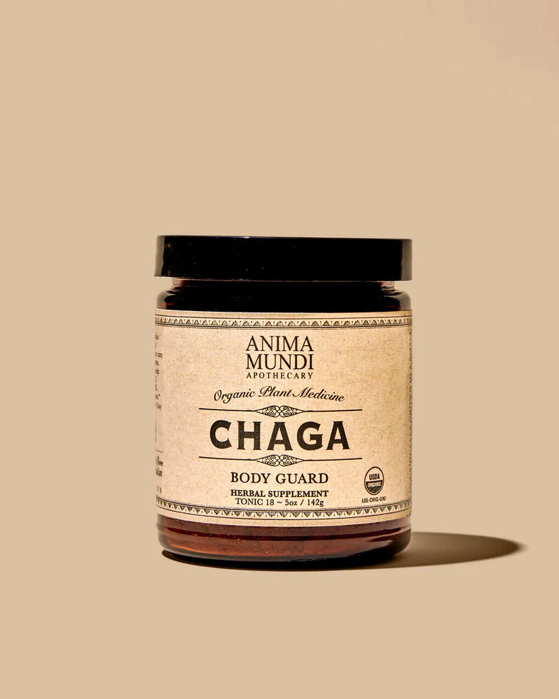 CHAGA | Body Guard