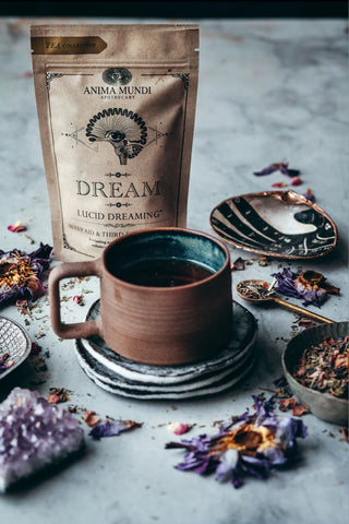 DREAM Tea | Sleep Aid + Third Eye Tonic