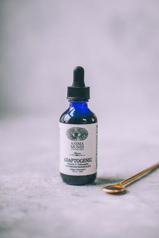 ADAPTOGENIC Tonic : Immune Protection & Resilience