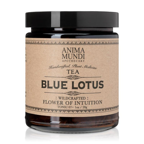 BLUE LOTUS : Flower of Intuition Tea