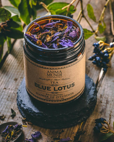 BLUE LOTUS : Flower of Intuition Tea